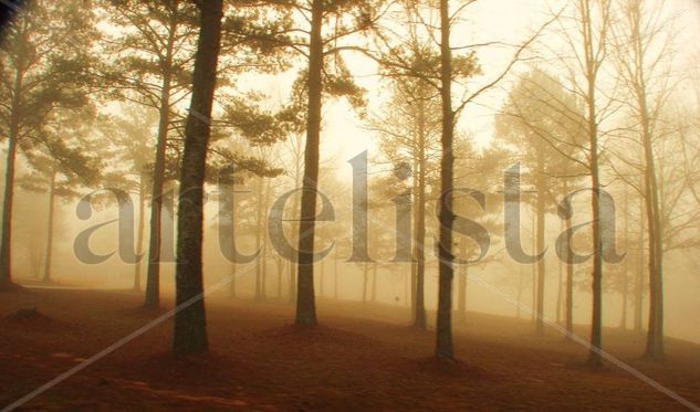 La Niebla de la Despedida. Naturaleza Color (Digital)