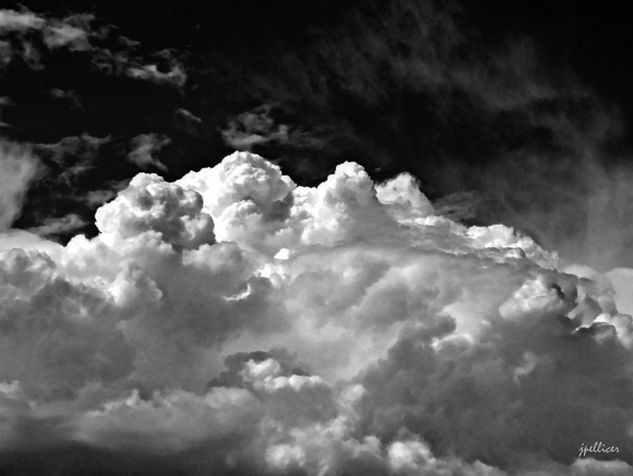 En esta hora de duda Nature Black and White (Digital)