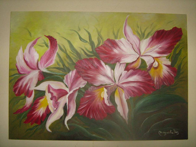 Orquideas Oil Canvas Landscaping