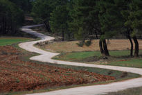 Camino de tajueco