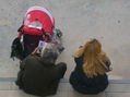 DESCANSANDO