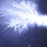 digi-trip thumbnail 2