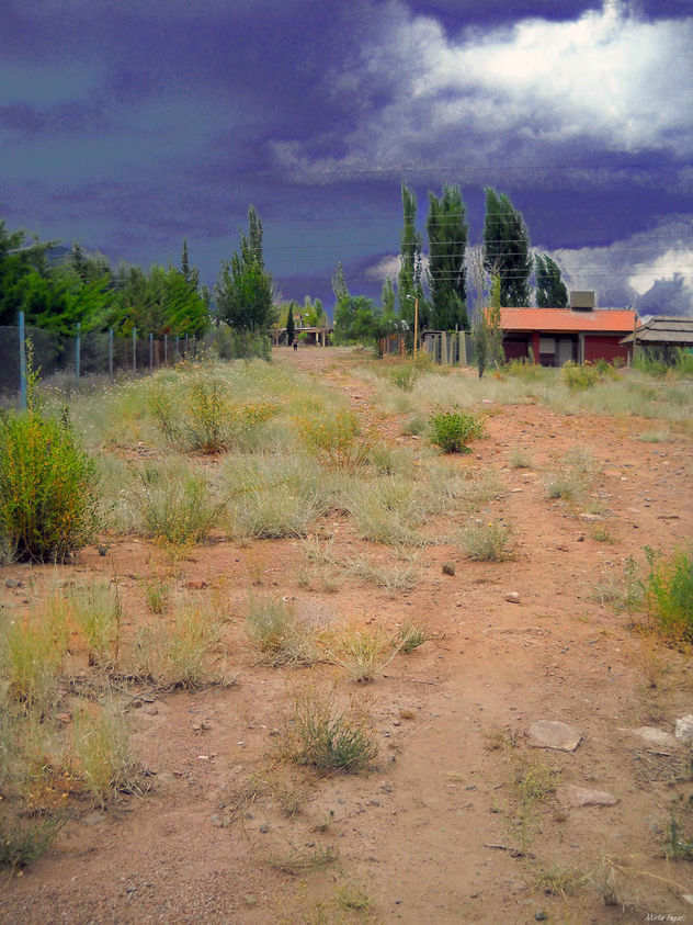 Sendero Nautural  * Nature trail
