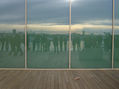 REFLEJO DE AUTOR