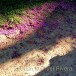 FOTOGRAFÏA thumbnail 1