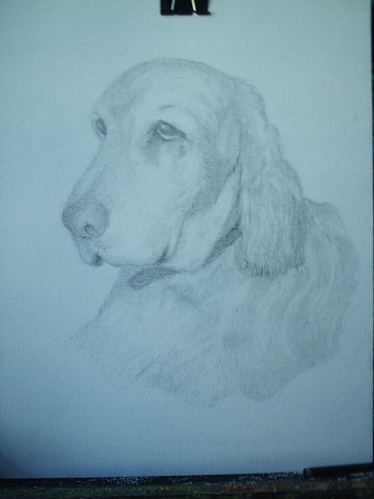 MI MASCOTA-PASO I Charcoal