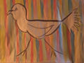 gaivota