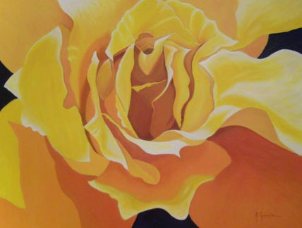 Rosa abierta