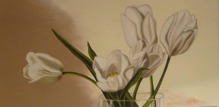 Tulipanes