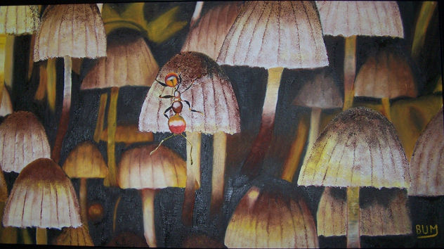 NATURALEZA MINUSCULA