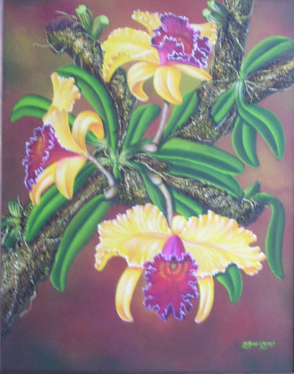 Orquidea amarilla