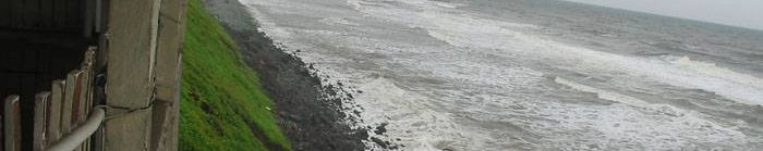 Imagen de portada