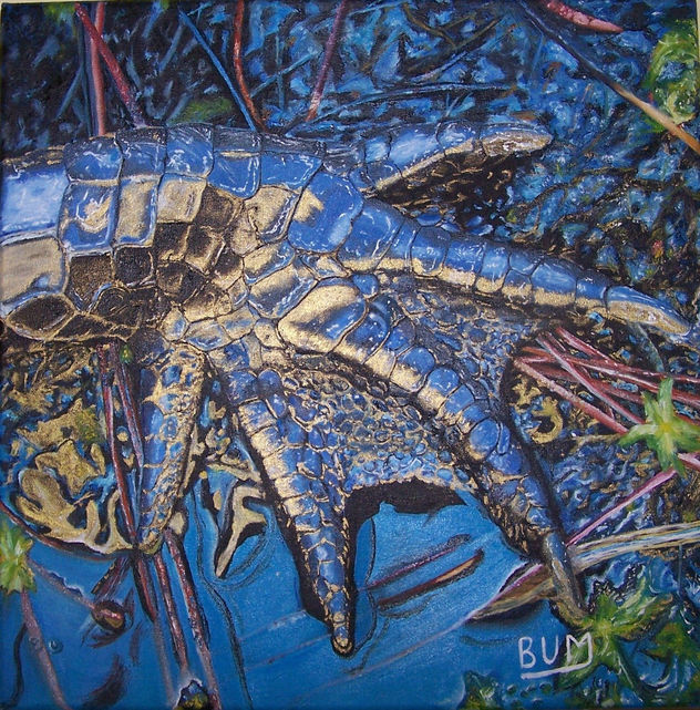 CAIMAN MAGICO