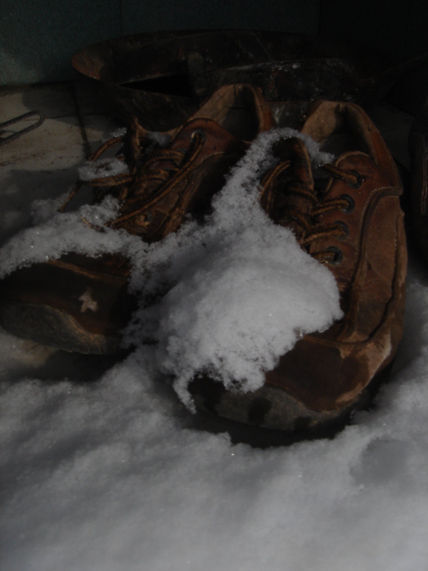 Pies frios