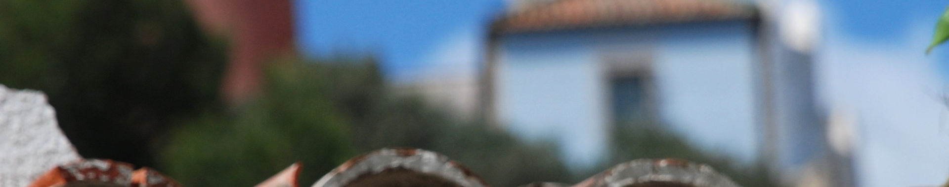 Imagen de portada