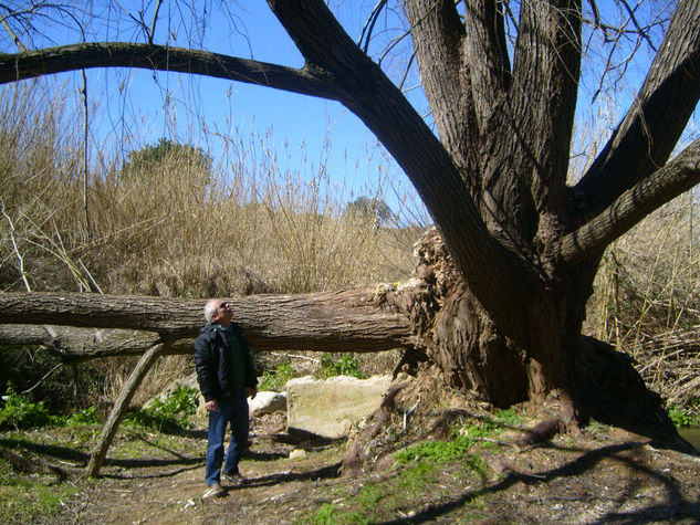 MIRADA AL CIELO 