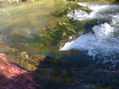 COLORES EN MOVIMIENTO