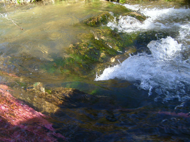 COLORES EN MOVIMIENTO 