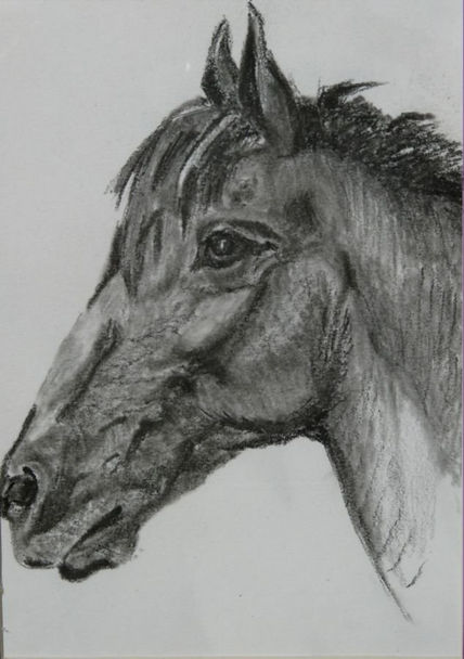 Caballo