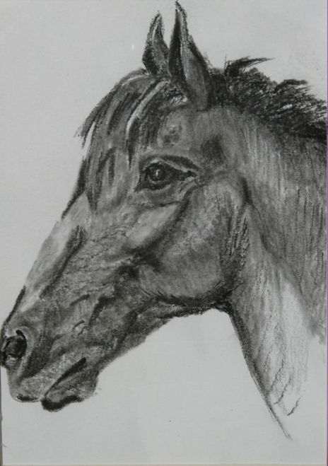 Caballo