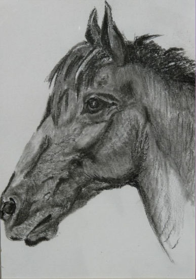 Caballo Pencil (Black) Paper Animals