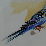 Animales thumbnail 2