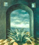 serie arquitectura,"Umbral con Aloe"