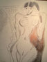 desnudo 3/ Febrero 2010