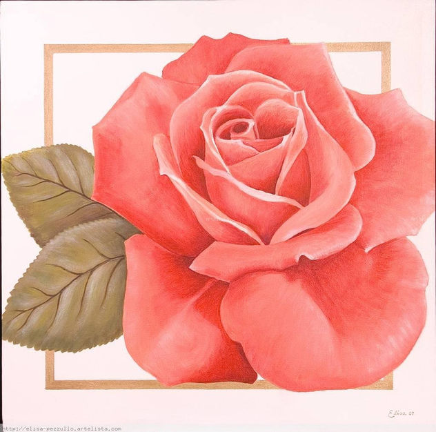ROSA ROSA