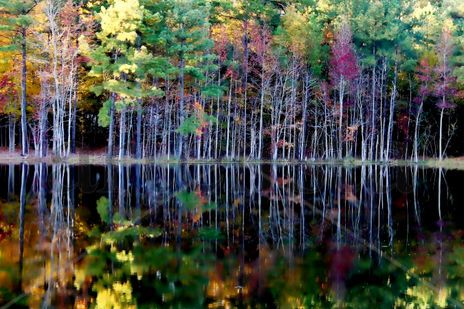 Natural colores