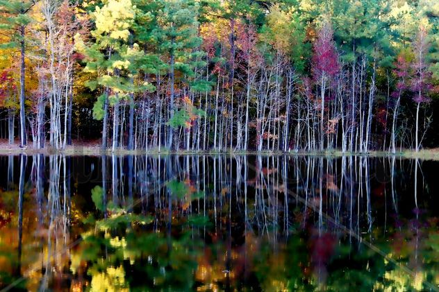 Natural colores