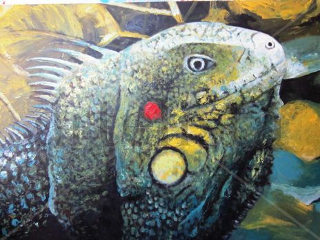 Iguana