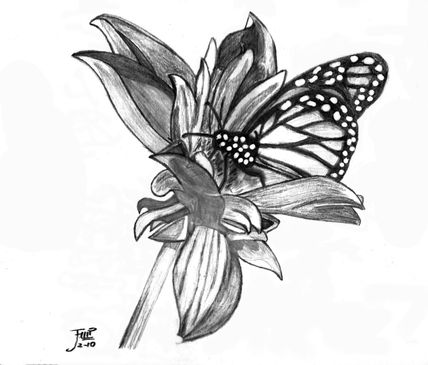 Dibujo alapiz