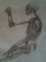 esqueleto pose femenina