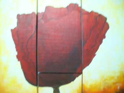 Amapola 2