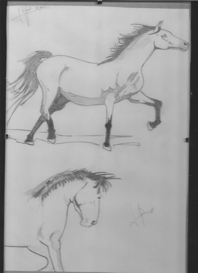 apuntes caballos Pencil