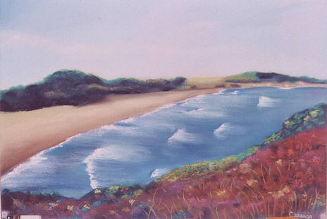 Playa