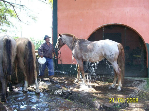 Baño reparador Otras temáticas Color (Digital)