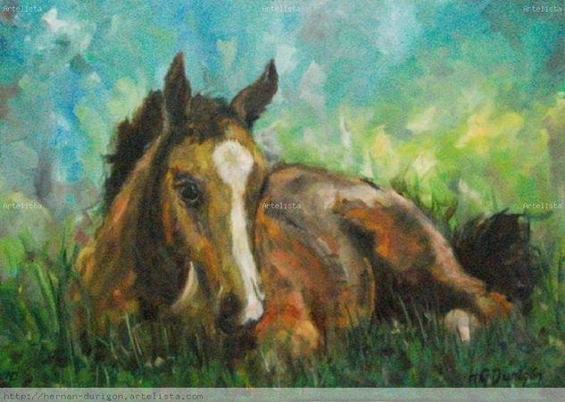 no tengo apuro Oil Canvas Animals