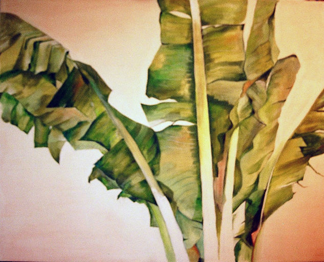 banano Oil Canvas Landscaping