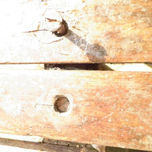 oxidados thumbnail 1