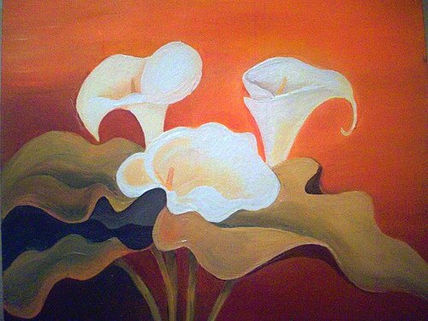 Calas  blancas