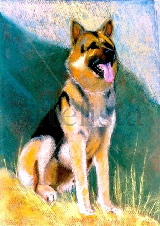 Tobi