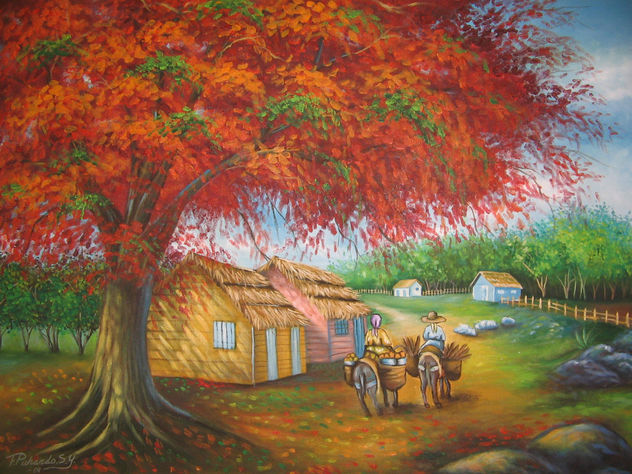 framboyan