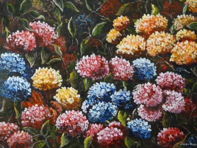 hortensias