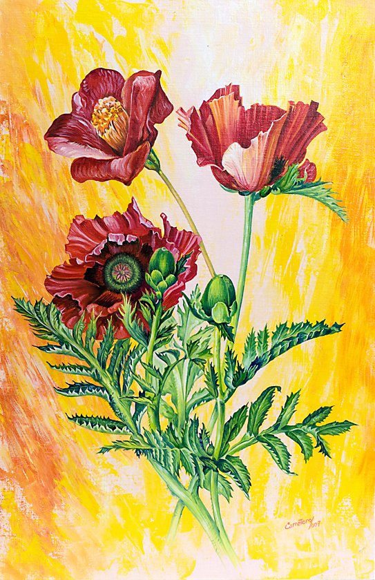 flor 6