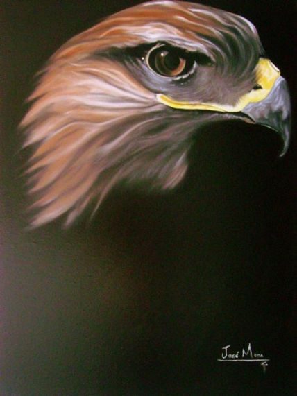 Halcon
