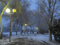 Anochecer nevando en el parque