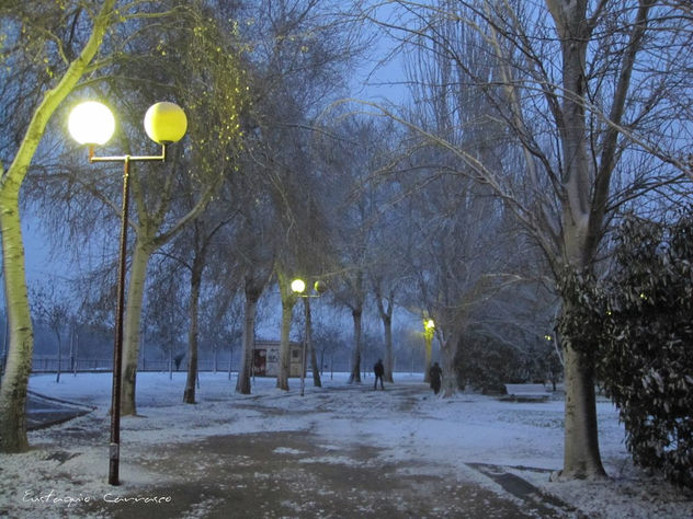 Anochecer nevando en el parque