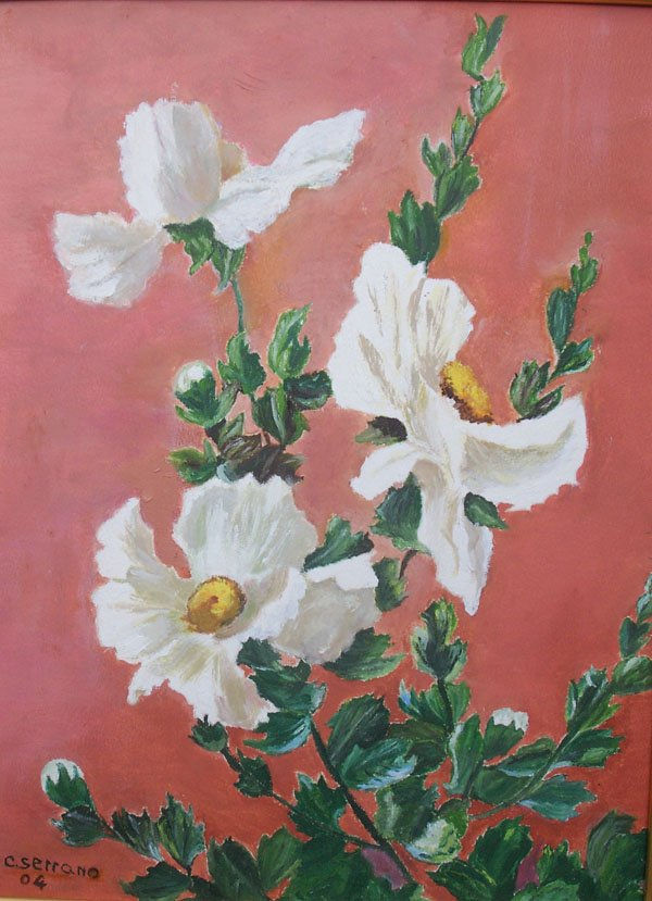 FLORES BLANCAS